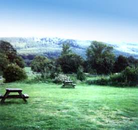 The Blue Bell